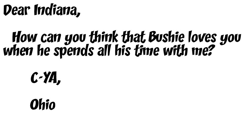 BB8-dear-Indiana-c-ya